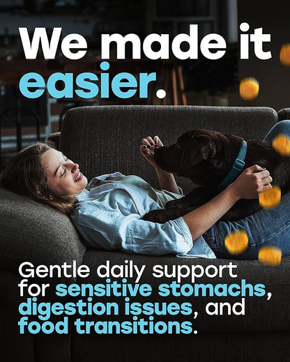 Chewable Dog Probiotics – All-in-One PhD-Endorsed Digestive Enzymes, Prebiotics, Turmeric, Omega-3 & Fiber – Gut, Diarrhea, Itchy Skin & Ear Support – All Ages, Made in USA, 140 Beef Chews