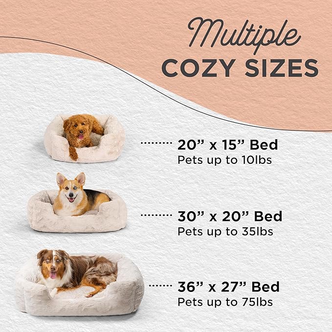 Best Friends by Sheri Soothe & Snooze Lounge Lux Memory Foam Rectangular Dog Bed, Washable, Oyster, Large 36" x 27"