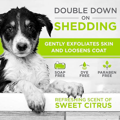 TropiClean Perfect Fur Deodorizing and Deshedding Dog Shampoo for Smelly Dogs, for Breeds with Long and Short Fur, Odor Control, Puppy Safe, 16oz.