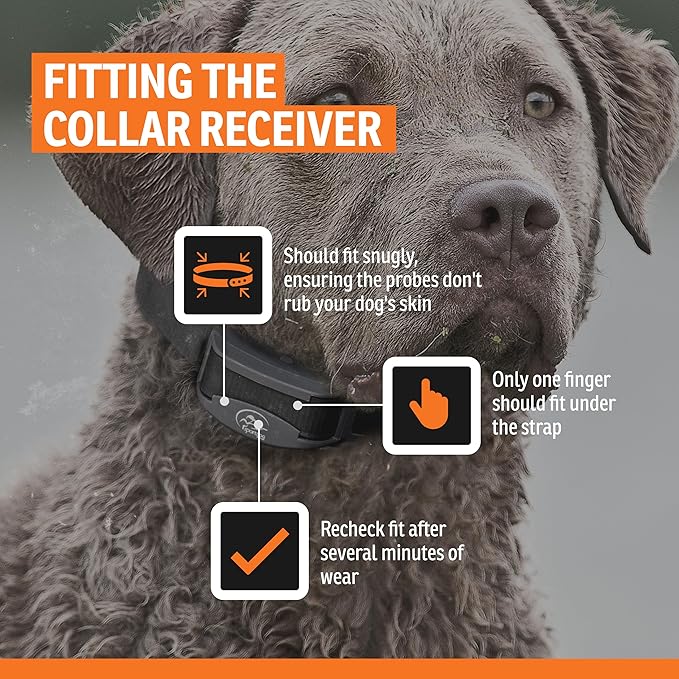 SportDOG NoBark SBC-R - Waterproof, Lightweight & Programmable Barking Correction Collar - Multiple Stimulation Levels for Outdoor Temperament Training - Black