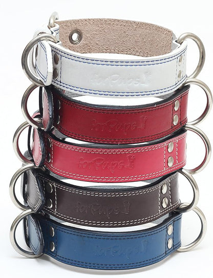 Premium Leather Collars with Stainless Steel Buckles (21"-24", Pink)