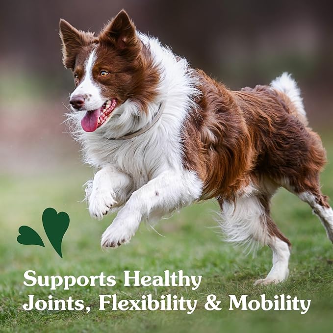 Greenies Supplements Hip and Joint Supplement for Dogs, Chicken Flavor, 80-Count Tub, Pack of 2