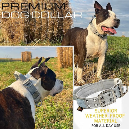 ADITYNA Heavy Duty Dog Collar for Extra-Large Dogs - Reflective Gray Collar with Handle for Training, and Walking - Wide, Thick, Tactical, Soft Neoprene Padded