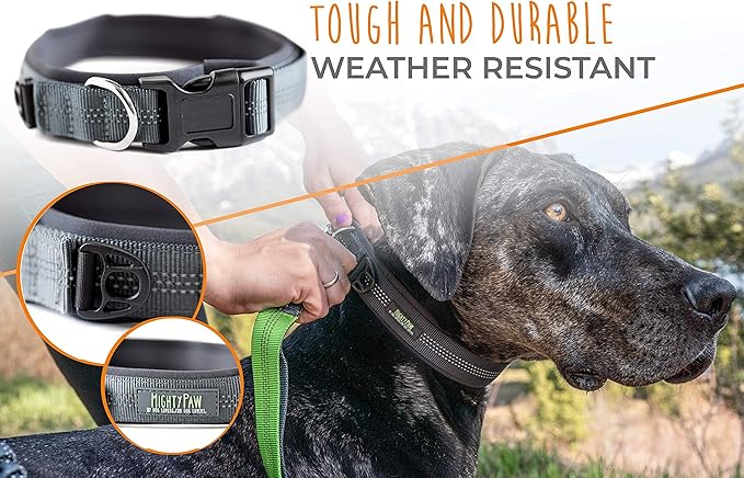 Mighty Paw Dog Collar - Neoprene Padded - Reflective for Running - Extra Comfort for Active Dogs - Lined and Strong Collar - Premium Quality for All Breeds - Soft