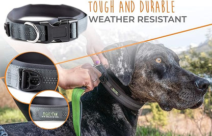 Mighty Paw Dog Collar - Neoprene Padded - Reflective for Running - Extra Comfort for Active Dogs - Lined and Strong Collar - Premium Quality for All Breeds - Soft
