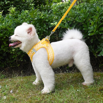 AIITLE Adjustable Dog Harness and Leash Set, Step in No Pull Pet Harness, Soft Mesh Reflective Plaid Vest Harnesses for Small Dogs Puppy and House Cats Outdoor Walking Running Yellow XS