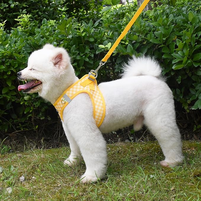 AIITLE No-Pull Pet Harness with a Leash, Plaid Comfort Padded Vest, Step in Dog Harness, Reflective Bands, Soft Breathable Pet Supplies, for Small and Medium Dogs and Cats Yellow S