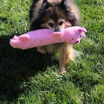 SmartPetLove Snuggle Puppy Tender Tuffs - Water Bottle Cruncher with Puncture Resistant Squeaker - Pig Bottle Cover Dog Toy
