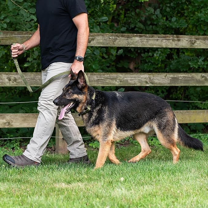 Tactical Dog Leash, 5 FT Heavy Duty Military-Grade Nylon, Quick Release Frog Clip (700 lb) with 360° Swivel, Padded Handle, for Medium and Large Dogs, Black – Operation Good Boy, Veteran Owned