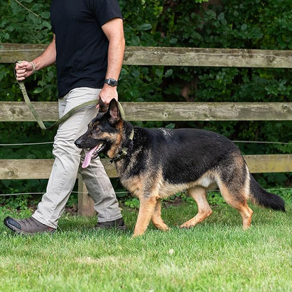 Tactical Dog Leash, 5 FT Heavy Duty Military-Grade Nylon, Quick Release Frog Clip (700 lb) with 360° Swivel, Padded Handle, for Medium and Large Dogs, Black – Operation Good Boy, Veteran Owned