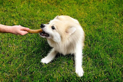 Buddy Wood Chew - Coffee Wood Toys for Dog - Gorilla Chew, Natural Dog Bone Alternative, Durable, Long Lasting ...(S (Single)