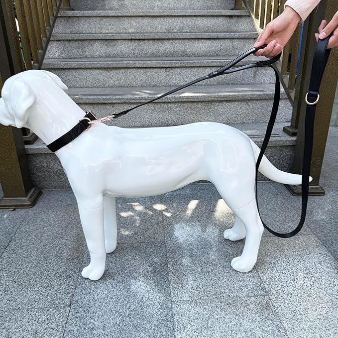 Dog Leash 6ft Long,Traffic Padded Two Handle,Heavy Duty,Double Handles Lead for Control Safety Training,Leashes for Large Dogs or Medium Dogs,Dual Handles Leads (Black, 25MM*6FT)