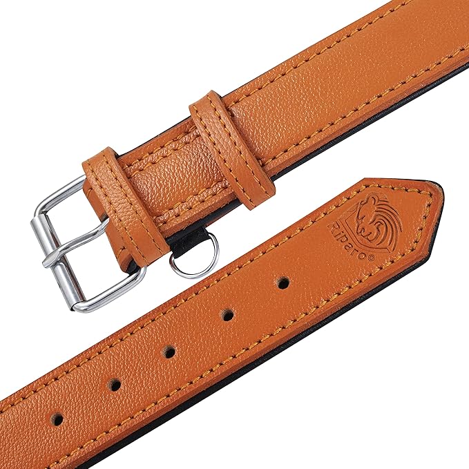 Riparo Leather Dog Collar, Large Dog Collar, Padded Heavy Duty Dog Collar with Dog Tag Holder, Orange Dog Collar (XL, Orange)