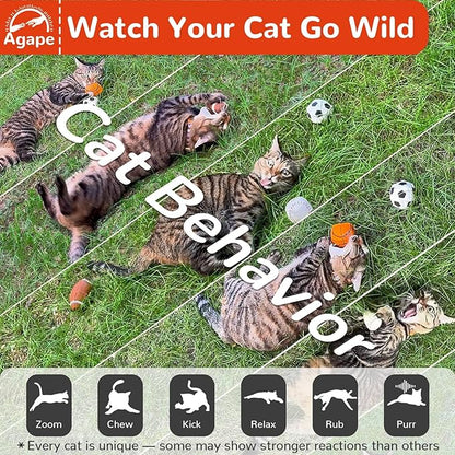 Agape 100% Catnip & Silvervine Filled Cat Toys, Interactive Chew & Kicker Balls for Indoor Cats, Enrichment and Teeth Cleaning Fun for Bored Cats and Kittens, 2 Pack Natural Crinkle Cat Toy with Sound