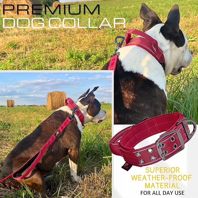 ADITYNA Heavy Duty Dog Collar for Extra-Large Dogs - Reflective Burgundy Collar with Handle for Training, and Walking - Wide, Thick, Tactical, Soft Neoprene Padded