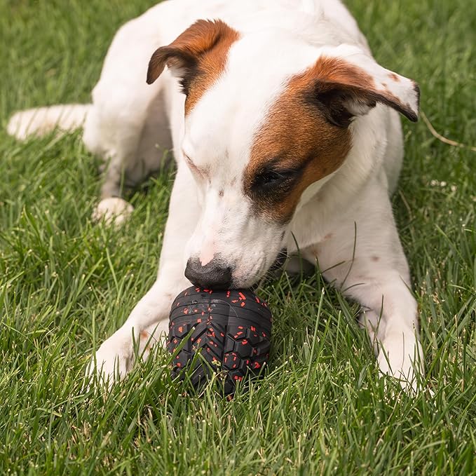 Chew King Supreme Durable Rubber Dog Toy for Aggressive Chewers, Treat-Dispensing Heavy-Duty Chew Toy with Safety Air Vent, Interactive Dog Toy for Training & Enrichment, XL 5.1" x 3.8"