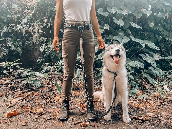 Tuff Pupper Heavy Duty Hands Free Dog Leash | One Large Dog Up to 125 lbs | Comfortable Shock Absorbing Bungee | Reflective Padded Handles | Lumbar Waist Belt 26-38" | Walking Jogging Running Leash