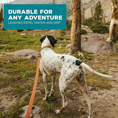 Wilderdog Waterproof Dog Leash - Repels Water & Dirt - Terracotta