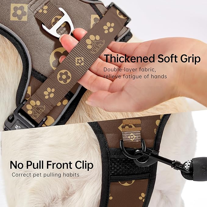 NESTROAD No Pull Dog Harness,Adjustable Oxford Dog Vest Harness with Leash,Reflective No-Choke Pet Harness with Easy Control Soft Handle for Small Dogs(Small,Dark Brown)