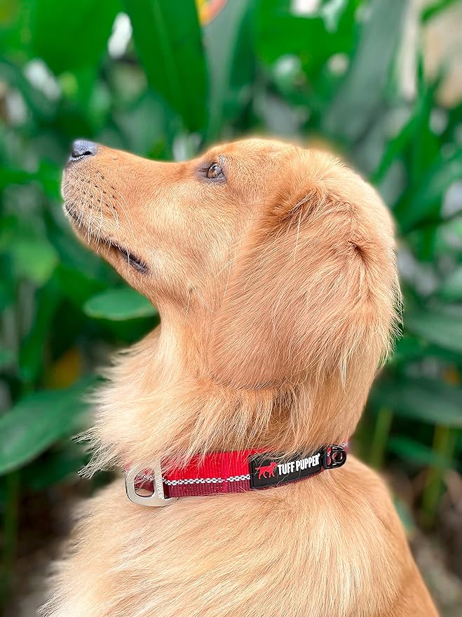 Tuff Pupper Heavy Duty Dog Collar | Tough Dogs Collar | Reflective Collars with Aluminum D-Ring Leash Clip | Separate ID Tag Attachment Keeps Engraved Dog Tags Quiet | Easy Sizing for All Breeds