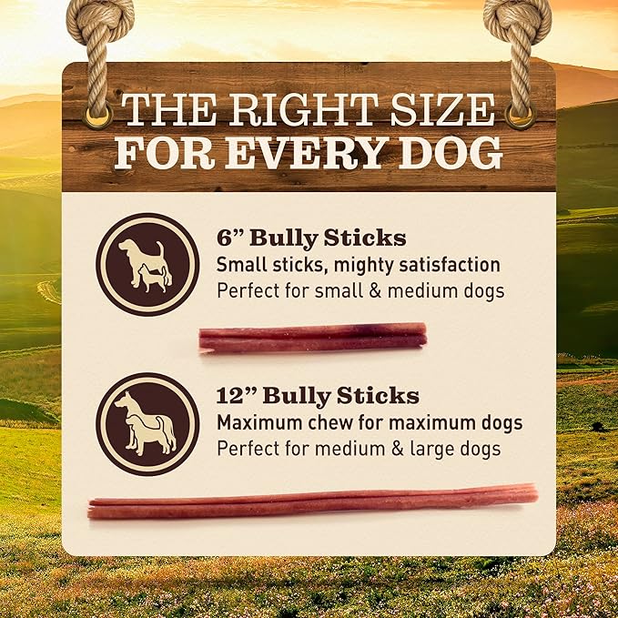 Pet Odor-Free Bully Sticks (12", 5 Pack) – 100% Grass-Fed Beef Pizzle Dog Chews, Fully Digestible & Long-Lasting Dental Treats