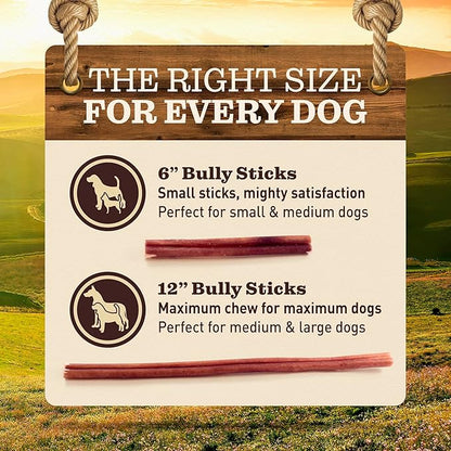 Pet Odor-Free Bully Sticks (12", 5 Pack) – 100% Grass-Fed Beef Pizzle Dog Chews, Fully Digestible & Long-Lasting Dental Treats