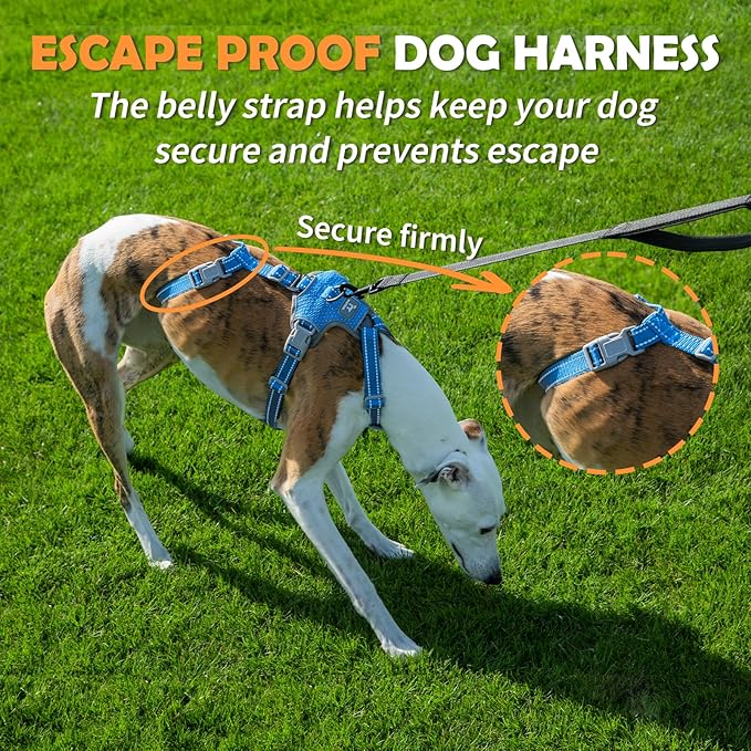 Huntboo Escape Proof Dog Harness – No Pull, No Slip, Fully Reflective, Adjustable 7-Point Design for Small, Medium, and Large Dogs – Lightweight for Outdoor Training & Hiking (Sea Blue, S)