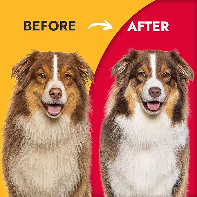 KONG Double-Sided Flexible Slicker Brush – De-Shedding & Detangling Tool, Padded Grip, Long Metal Pins, Flexible Head, for Medium to Large Dogs with Medium to Long Coats, Red/Gray