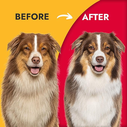 KONG Double-Sided Rake & Deshedding Tool – Detangling & Shedding Control, Rounded Metal Tips, Non-Slip Grip, for Medium to Large Dogs with Medium to Long Coats, Red/Gray