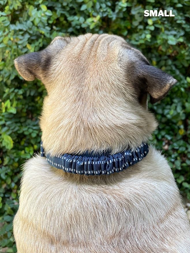 Tuff Pupper Heavy Duty Dog Collar with Handle | Ballistic Nylon Heavy Duty Collar | Padded Reflective Dog Collar with Adjustable Stainless Steel Hardware | Convenient Sizing for All Breeds