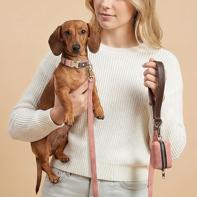Didog Soft PU Leather Dog Collars for Small Dogs,Classic Adjustable Dog Collars with Quick Release Metal Buckle,Easy Clean and Comfortable with Nylon Lining,Pink,S Neck 11-15"