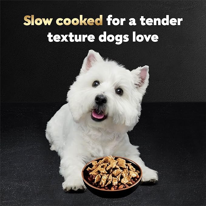 Cesar Filets in Gravy Wet Dog Food Wood-Grilled Chicken, Wet Food for Dogs, 1.76 oz. Mini-Pouches, 20 Count