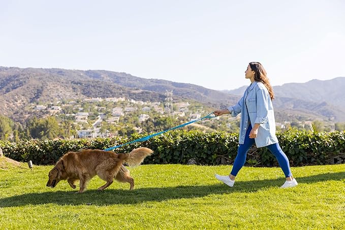 Shed Defender Shock Absorbing Bungee Leash - Three Padded Traffic Handles, Designed in The USA, Stretches 4-7ft, Elastic Dog Leash, Reflective Stitching, Large Dog & Small Breed, Heavy Duty, Blue