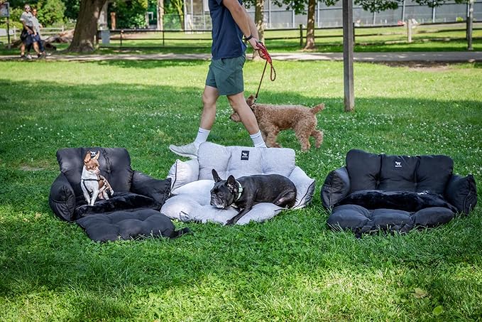 JACKO & CO - Premium Dog Car Seat v2 Booster Seat for Small & Medium Pets Under 25lbs - Machine Washable w Removable Cover Water Resistant w Clip-On Leash for Front or Back Seat (Black Small (1-25lbs)