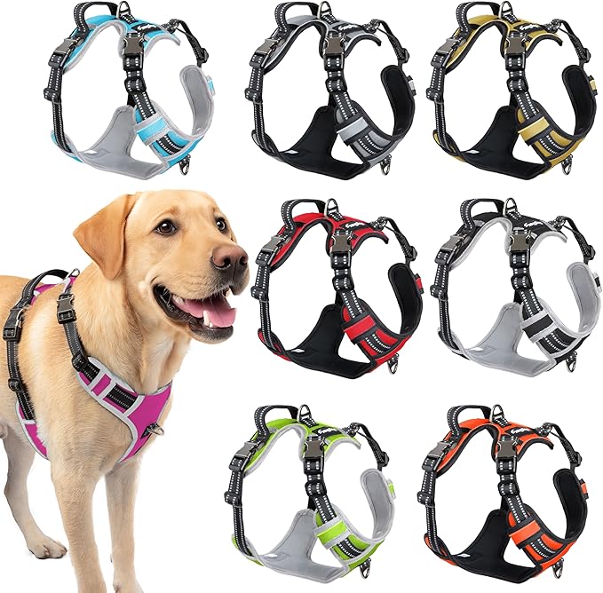 DogTraxs - Step-in Dog Harness - for Extra Large Dogs - Soft Padding & Reflective Trim - Adjustable No Pull Through Design - Control Handle - Top & Front Clip Durable - Pink