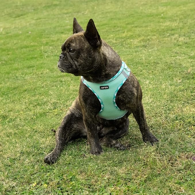 AMTOR Small Dog Harness with Leash Set, No Escape Easy Walk Puppy Harnesses for Training Walking, Step-in Reflective Soft Dogs Vest for XS S Medium Extra-Small Large Sized Dog(Green,XS)
