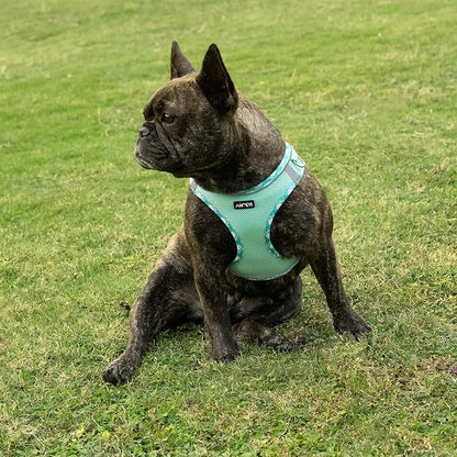 AMTOR Small Dog Harness with Leash Set, No Escape Easy Walk Puppy Harnesses for Training Walking, Step-in Reflective Soft Dogs Vest for XS S Medium Extra-Small Large Sized Dog(Green,M)