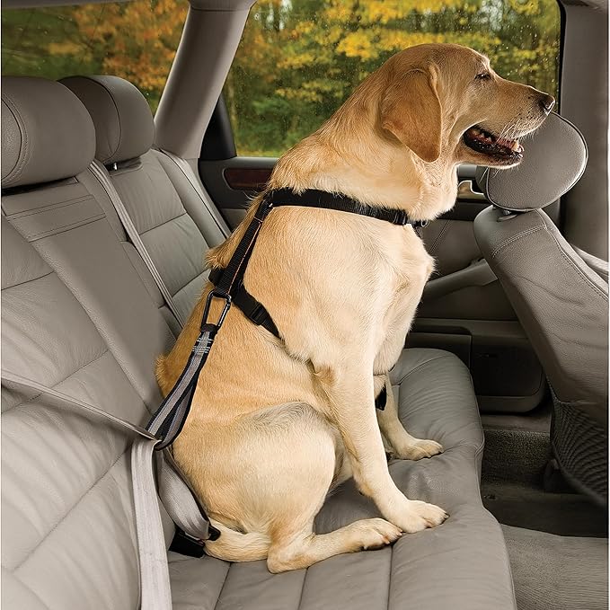 Kurgo Swivel Tether - Strong Dog Restraint - Heavy Duty Car Leash - Aluminum Carabiner Clip - Anti-Twist Swivel Motion Seatbelt - Escape Resistant Dog Tether - Travel Restraint - Black/Gray
