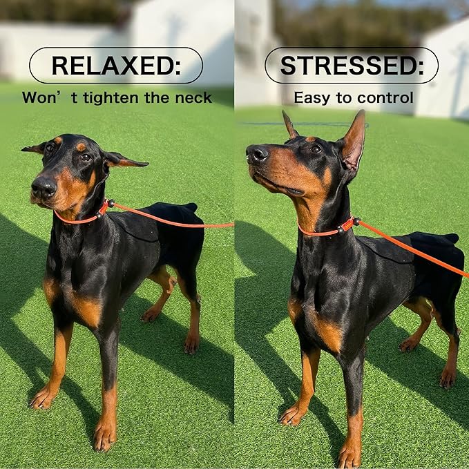 Howgo Dog Slip Lead Dog Leash, Training Leash, No-Pull Lightweight Slip Lead and Collar, Heavy Duty & Durable, Padded Handle, for All Breeds (Brown, 5FT)