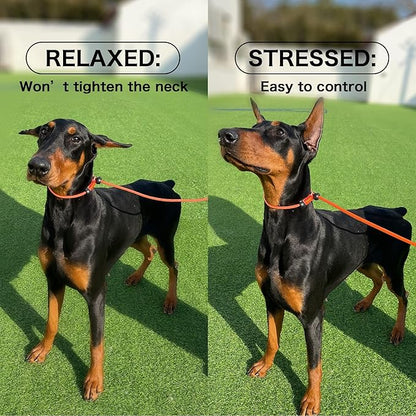 Howgo Dog Slip Lead Dog Leash, Training Leash, No-Pull Lightweight Slip Lead and Collar, Heavy Duty & Durable, Padded Handle, for All Breeds (Lavender, 5FT)
