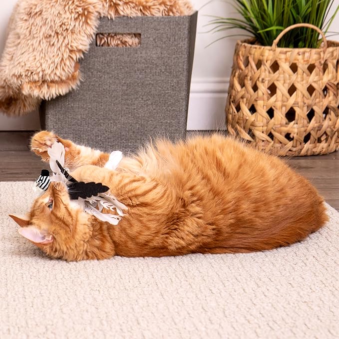 Instincts by SmartyKat HappyNip Zingy Zebra Feathered Toss & Chase Interactive Cat Toy, Contains Catnip & Silvervine - White/Black, One Size