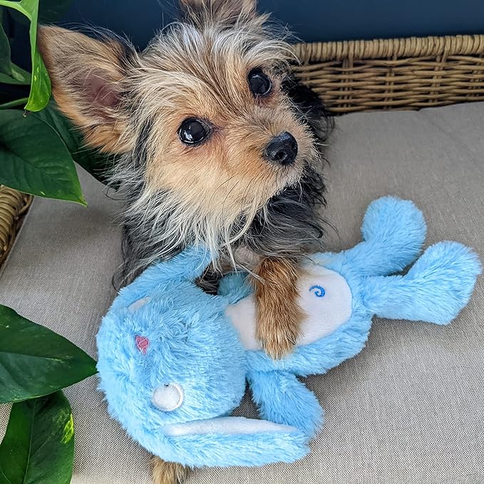 Huxley & Kent Slappies for Dogs | Betty Bunny (Large) | Squeak & Shake Dog Toy | No Stuff Squeaky Toy, TPR Ball in Head | Simulates Hunting Nature for Dogs