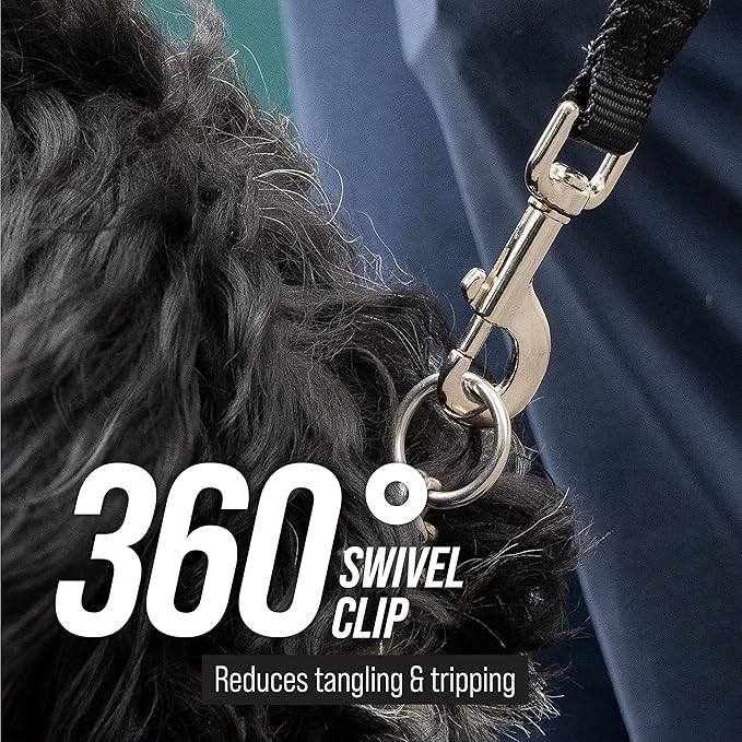 Leash Boss Free Range - Long Dog Leash for Large Dogs + Drawstring Backpack - 1 Inch Nylon Training Lead with Padded Handle (Black) (30 Ft)