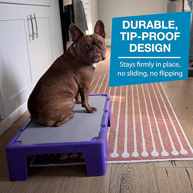 Blue-9 KLIMB Jr. Professionally Designed Dog Training Platform and DIY Guide for Behavior Basics, Made in The USA, Purple