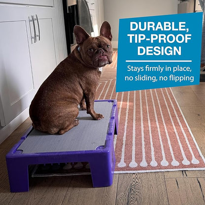 Blue-9 KLIMB Jr. Professionally Designed Dog Training Platform and DIY Guide for Behavior Basics, Made in The USA, Purple