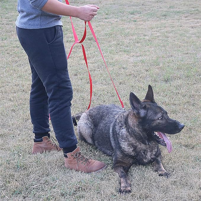 Siumouhoi Dog/Puppy Obedience Recall Training Agility Lead - 15ft 20ft 30ft 40ft 50ft Training Leash - Great for Play, Camping, or Backyard - Orange 20ft (20Feet, Orange)