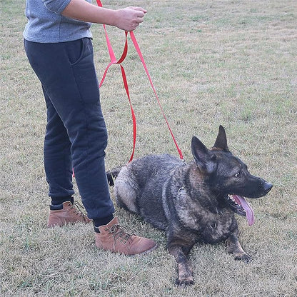Dog/Puppy Obedience Recall Training Agility Lead - 15ft 20ft 30ft 40ft 50ft Training Leash - Great for Training, Play, Camping, or Backyard (30 Feet, Red)