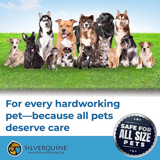 Silverquine Dog Wound Care Gel - Hot Spot Gel Solution for Dogs and Cats - Safe If Licked, Odorless Silver Hydrogel Ointment for Pets Cuts, Burns, Scratches, Sores and Skin Concerns - 4.0 Oz