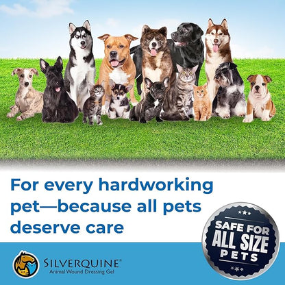 Silverquine Dog Wound Care Gel - Hot Spot Gel Solution for Dogs and Cats - Safe If Licked, Odorless Silver Hydrogel Ointment for Pets Cuts, Burns, Scratches, Sores and Skin Concerns - 4.0 Oz
