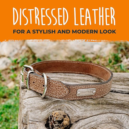 Mighty Paw Leather Dog Collar - Genuine Distressed Leather - Strong Metal Buckle - Ultimate Comfort - Modern Style for All Dogs Breeds - Comfort Puppy Collar - (Medium - Lite Brown)